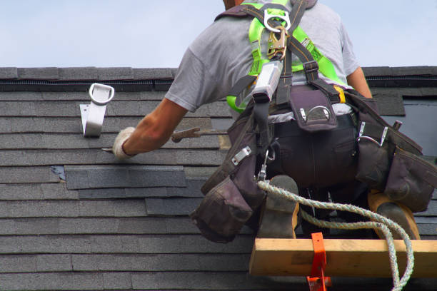 Best Roof Maintenance Services  in Cabin John, MD